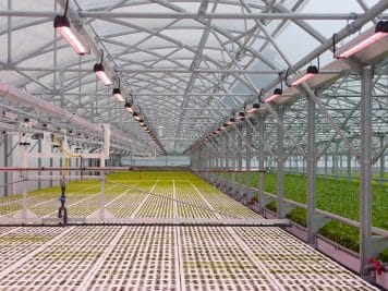 Pourquoi ma nouvelle tagline Horti Generation | Greenhouse & CEA Insights for North American Commercial Growers de mon site Wordpress Horti-Generation n'est pas à jour en ligne ? Diagnostiqué conflit entre paramètres WordPress et plugin SEO Diagnostiqué conflit entre paramètres WordPress et plugin SEO J'ai vérifié le rendu en ligne. Voici le point de départ factuel : le titre servi par ta page d'accueil est toujours Horti Generation | The horticulture and green technology blog, et le og:title qui accompagne le partage social affiche exactement la même vieille chaîne. Donc ta nouvelle tagline n'apparaît nulle part dans le code réellement servi. Horti Generation La cause la plus probable, et c'est un piège classique de WordPress : le titre de la page d'accueil n'est pas piloté par le champ « Tagline » de Réglages > Général. Ce sont deux choses distinctes. Dans WordPress, Réglages > Général contient deux champs : le « Titre du site » et la « Tagline » (slogan). La tagline est une phrase descriptive, pas un titre SEO, et le thème décide seul de l'afficher ou non. Sur ton accueil, le logo image occupe l'emplacement du titre, donc le thème n'affiche probablement pas ce texte de toute façon. Le titre visible dans l'onglet du navigateur et dans Google, lui, est généré par Yoast, pas par WordPress. Ta page d'accueil est un flux d'articles (pas une page statique), donc Yoast tire son titre du modèle « Page d'accueil » dans Yoast SEO > Réglages > Apparence dans les résultats de recherche. Si tu y as un jour saisi une chaîne fixe (« Horti Generation | The horticulture and green technology blog »), modifier la tagline dans Réglages > Général ne changera jamais rien. Yoast écrase tout. Où corriger, dans l'ordre : Yoast SEO > Apparence dans les résultats de recherche > onglet Types de contenu ou Général, section « Page d'accueil ». Remplace le titre SEO ET la description sociale (og:title / og:description), qui portent encore l'ancienne formulation. Vérifie aussi le champ social du même endroit, car ton og:title est identique à l'ancien titre, ce qui confirme que la source est bien Yoast et non le cache. Une fois modifié, vide le cache dans cet ordre : plugin de cache éventuel (WP Rocket, LiteSpeed…), puis le cache CDN si tu passes par Cloudflare, puis ton cache navigateur. Un titre qui persiste après correction est presque toujours un cache CDN oublié. Maintenant, en tant que pair, deux réserves sur la chaîne elle-même, parce que la copier telle quelle serait une erreur SEO. D'abord, « Horti Generation | Greenhouse & CEA Insights for North American Commercial Growers » fait environ 76 caractères. Google coupe le titre autour de 60 caractères (580 à 600 px). Ta phrase sera tronquée en SERP, probablement juste après « CEA Insights », et « North American Commercial Growers », qui est ton vrai argument de positionnement, disparaîtra de l'aperçu. Tu perds l'élément le plus différenciant au moment précis où l'utilisateur décide de cliquer. Ensuite, tu dupliques la marque. Yoast ajoute déjà %%sitename%% par défaut. Si tu écris la marque en dur en début de titre, tu risques « Horti Generation | … | Horti Generation ». Vérifie que le modèle ne rajoute pas la marque une seconde fois. Structure que je te proposerais à la place, pensée pour la SERP et pas pour ta satisfaction visuelle dans l'admin : Titre SEO d'accueil : Greenhouse & CEA Insights for North American Growers puis le séparateur et la marque gérés par le template Yoast. Tu mets le bénéfice et le mot-clé en tête, la marque en fin, et tu restes sous la barre de troncature. « Commercial » est implicite pour ton audience et coûte des caractères précieux. Ta tagline WordPress (le champ Général) peut, elle, rester la phrase longue et humaine, car elle sert d'autres usages (flux RSS, certains thèmes, accessibilité). Les deux champs ne doivent pas dire la même chose : titre SEO court et cliquable d'un côté, slogan descriptif de l'autre. Veux-tu que je te prépare le couple exact (titre SEO d'accueil + meta description sous 155 caractères + og:title / og:description) prêt à coller dans Yoast, en anglais et en français pour ta version WPML ? 1784105615430_image.png j'ai trouvé que me conseillez-vous pour optimiser le SEO title notamment pour atteindre mes objectifs de visibilité sur la marché Nord Américain du CEA et des serres Évalué stratégie de titre SEO et repositionné priorités de visibilité Évalué stratégie de titre SEO et repositionné priorités de visibilité Bien vu, tu es au bon endroit. Le trait rouge sous le champ, c'est Yoast qui te dit que le titre dépasse la limite de longueur. L'aperçu Google le confirme : il coupe à « for North American ... », donc « Commercial Growers », ta partie la plus différenciante, n'apparaît jamais dans le résultat. Avant les propositions, une mise au point de consultant, parce que sinon tu vas surinvestir sur le mauvais levier. Le SEO title de la page d'accueil ne fera pas ta visibilité sur le marché nord-américain du CEA. Une page d'accueil ne se classe quasiment jamais sur des requêtes génériques comme « greenhouse » ou « CEA » : ces SERP sont trustées par les fabricants, les associations et Wikipédia. Le titre d'accueil sert trois choses concrètes : les recherches de marque, le signal de positionnement, et le taux de clic sur les impressions de marque ou de longue traîne. Ta visibilité réelle sur le CEA nord-américain se construit article par article, chacun ciblant une requête précise, avec un maillage interne solide. Ton moteur de classement, ce sont déjà tes articles #RightTech, coût mid-tech et industry review, pas ton accueil. Corrige donc ce titre parce que c'est une correction de positionnement rapide et nécessaire, mais garde ton énergie stratégique sur la structure de mots-clés au niveau des articles. Sur le titre lui-même, deux principes que ta version actuelle viole. D'abord la marque en tête consomme 19 caractères avant même le premier mot utile. Sur une home, la marque va en fin : Google la rajoute souvent seul, et ça libère le début pour le message. Ensuite ton différenciant, « North American », doit être visible avant la troncature, donc en tête. Ma recommandation principale : North American Greenhouse & CEA Insights | Horti Generation