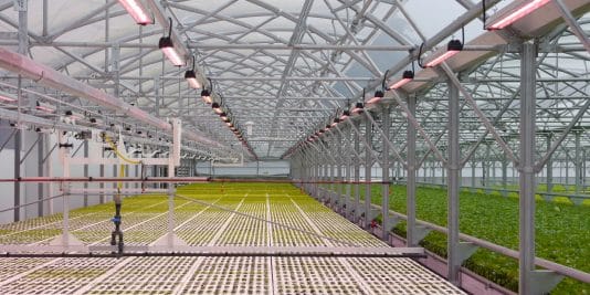 Pourquoi ma nouvelle tagline Horti Generation | Greenhouse & CEA Insights for North American Commercial Growers de mon site Wordpress Horti-Generation n'est pas à jour en ligne ? Diagnostiqué conflit entre paramètres WordPress et plugin SEO Diagnostiqué conflit entre paramètres WordPress et plugin SEO J'ai vérifié le rendu en ligne. Voici le point de départ factuel : le titre servi par ta page d'accueil est toujours Horti Generation | The horticulture and green technology blog, et le og:title qui accompagne le partage social affiche exactement la même vieille chaîne. Donc ta nouvelle tagline n'apparaît nulle part dans le code réellement servi. Horti Generation La cause la plus probable, et c'est un piège classique de WordPress : le titre de la page d'accueil n'est pas piloté par le champ « Tagline » de Réglages > Général. Ce sont deux choses distinctes. Dans WordPress, Réglages > Général contient deux champs : le « Titre du site » et la « Tagline » (slogan). La tagline est une phrase descriptive, pas un titre SEO, et le thème décide seul de l'afficher ou non. Sur ton accueil, le logo image occupe l'emplacement du titre, donc le thème n'affiche probablement pas ce texte de toute façon. Le titre visible dans l'onglet du navigateur et dans Google, lui, est généré par Yoast, pas par WordPress. Ta page d'accueil est un flux d'articles (pas une page statique), donc Yoast tire son titre du modèle « Page d'accueil » dans Yoast SEO > Réglages > Apparence dans les résultats de recherche. Si tu y as un jour saisi une chaîne fixe (« Horti Generation | The horticulture and green technology blog »), modifier la tagline dans Réglages > Général ne changera jamais rien. Yoast écrase tout. Où corriger, dans l'ordre : Yoast SEO > Apparence dans les résultats de recherche > onglet Types de contenu ou Général, section « Page d'accueil ». Remplace le titre SEO ET la description sociale (og:title / og:description), qui portent encore l'ancienne formulation. Vérifie aussi le champ social du même endroit, car ton og:title est identique à l'ancien titre, ce qui confirme que la source est bien Yoast et non le cache. Une fois modifié, vide le cache dans cet ordre : plugin de cache éventuel (WP Rocket, LiteSpeed…), puis le cache CDN si tu passes par Cloudflare, puis ton cache navigateur. Un titre qui persiste après correction est presque toujours un cache CDN oublié. Maintenant, en tant que pair, deux réserves sur la chaîne elle-même, parce que la copier telle quelle serait une erreur SEO. D'abord, « Horti Generation | Greenhouse & CEA Insights for North American Commercial Growers » fait environ 76 caractères. Google coupe le titre autour de 60 caractères (580 à 600 px). Ta phrase sera tronquée en SERP, probablement juste après « CEA Insights », et « North American Commercial Growers », qui est ton vrai argument de positionnement, disparaîtra de l'aperçu. Tu perds l'élément le plus différenciant au moment précis où l'utilisateur décide de cliquer. Ensuite, tu dupliques la marque. Yoast ajoute déjà %%sitename%% par défaut. Si tu écris la marque en dur en début de titre, tu risques « Horti Generation | … | Horti Generation ». Vérifie que le modèle ne rajoute pas la marque une seconde fois. Structure que je te proposerais à la place, pensée pour la SERP et pas pour ta satisfaction visuelle dans l'admin : Titre SEO d'accueil : Greenhouse & CEA Insights for North American Growers puis le séparateur et la marque gérés par le template Yoast. Tu mets le bénéfice et le mot-clé en tête, la marque en fin, et tu restes sous la barre de troncature. « Commercial » est implicite pour ton audience et coûte des caractères précieux. Ta tagline WordPress (le champ Général) peut, elle, rester la phrase longue et humaine, car elle sert d'autres usages (flux RSS, certains thèmes, accessibilité). Les deux champs ne doivent pas dire la même chose : titre SEO court et cliquable d'un côté, slogan descriptif de l'autre. Veux-tu que je te prépare le couple exact (titre SEO d'accueil + meta description sous 155 caractères + og:title / og:description) prêt à coller dans Yoast, en anglais et en français pour ta version WPML ? 1784105615430_image.png j'ai trouvé que me conseillez-vous pour optimiser le SEO title notamment pour atteindre mes objectifs de visibilité sur la marché Nord Américain du CEA et des serres Évalué stratégie de titre SEO et repositionné priorités de visibilité Évalué stratégie de titre SEO et repositionné priorités de visibilité Bien vu, tu es au bon endroit. Le trait rouge sous le champ, c'est Yoast qui te dit que le titre dépasse la limite de longueur. L'aperçu Google le confirme : il coupe à « for North American ... », donc « Commercial Growers », ta partie la plus différenciante, n'apparaît jamais dans le résultat. Avant les propositions, une mise au point de consultant, parce que sinon tu vas surinvestir sur le mauvais levier. Le SEO title de la page d'accueil ne fera pas ta visibilité sur le marché nord-américain du CEA. Une page d'accueil ne se classe quasiment jamais sur des requêtes génériques comme « greenhouse » ou « CEA » : ces SERP sont trustées par les fabricants, les associations et Wikipédia. Le titre d'accueil sert trois choses concrètes : les recherches de marque, le signal de positionnement, et le taux de clic sur les impressions de marque ou de longue traîne. Ta visibilité réelle sur le CEA nord-américain se construit article par article, chacun ciblant une requête précise, avec un maillage interne solide. Ton moteur de classement, ce sont déjà tes articles #RightTech, coût mid-tech et industry review, pas ton accueil. Corrige donc ce titre parce que c'est une correction de positionnement rapide et nécessaire, mais garde ton énergie stratégique sur la structure de mots-clés au niveau des articles. Sur le titre lui-même, deux principes que ta version actuelle viole. D'abord la marque en tête consomme 19 caractères avant même le premier mot utile. Sur une home, la marque va en fin : Google la rajoute souvent seul, et ça libère le début pour le message. Ensuite ton différenciant, « North American », doit être visible avant la troncature, donc en tête. Ma recommandation principale : North American Greenhouse & CEA Insights | Horti Generation