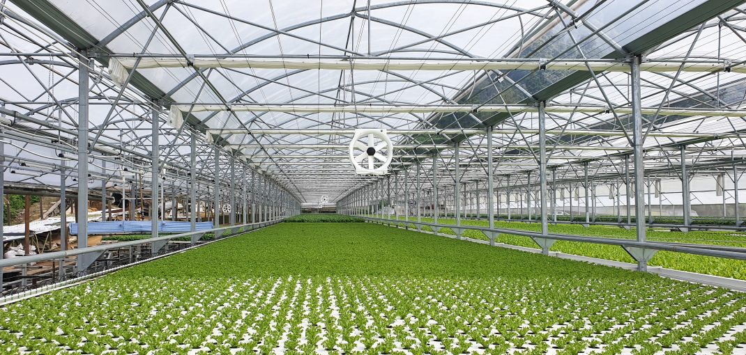 Ultrasonic algae control technology in horticulture - Horti Generation