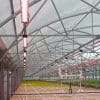 Horticulture and greenhouse industry best blog