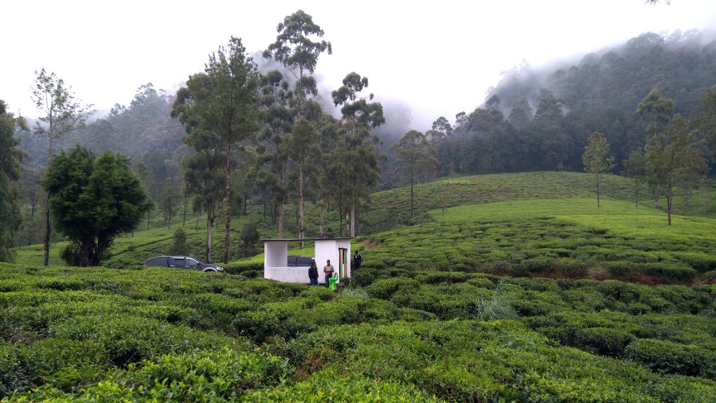 Site visit in Nuwara Eliya, Sri Lanka to inspect greenhouses Horti