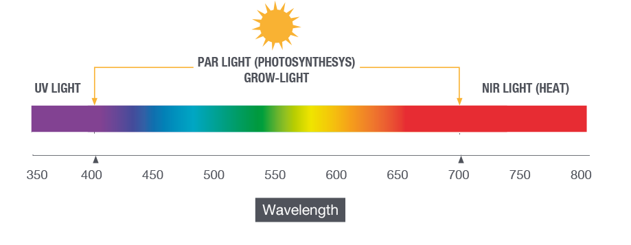 uv light in greenhouse