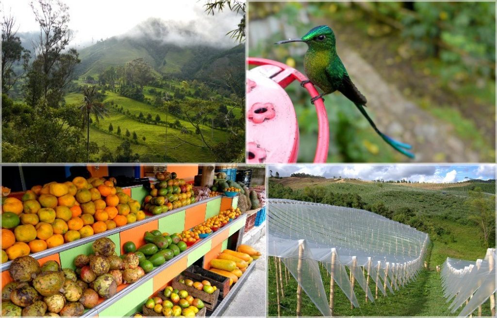 Colombian diversity and booming horticulture industry