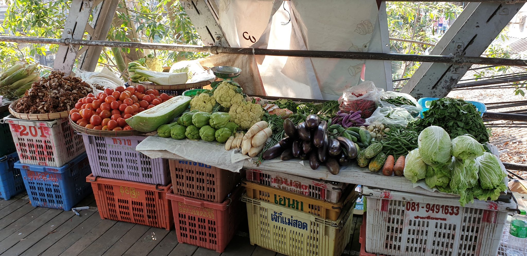 Traditional agriculture in Myanmar (Burma) - Horti Generation