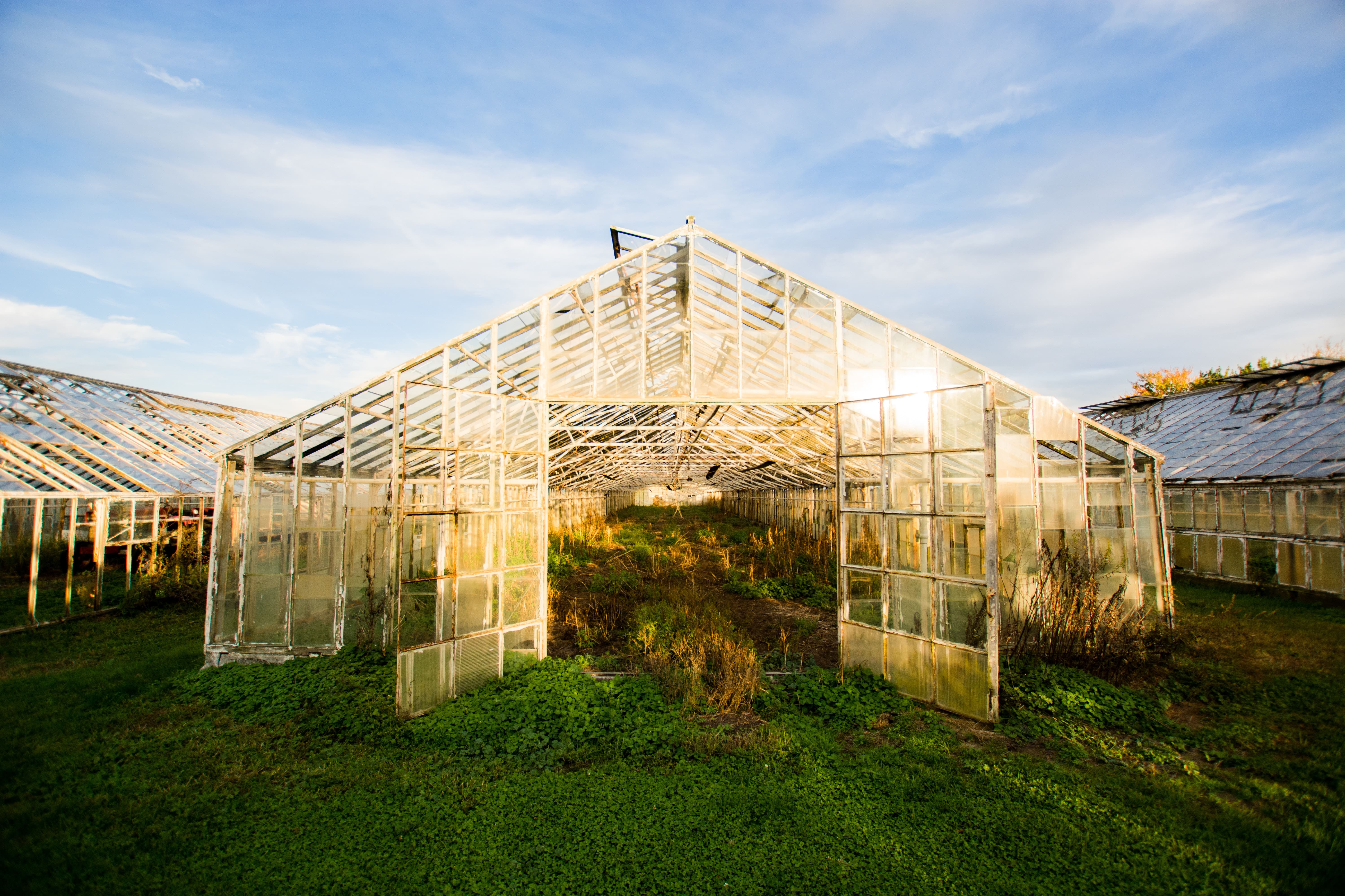 Collapsology - the greenhouse will save the humanity after the global colla...