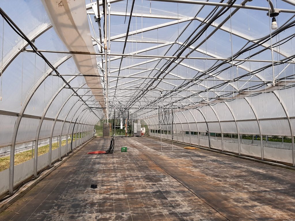 ventilation d'une serre Ovaltech au Québec, Canada