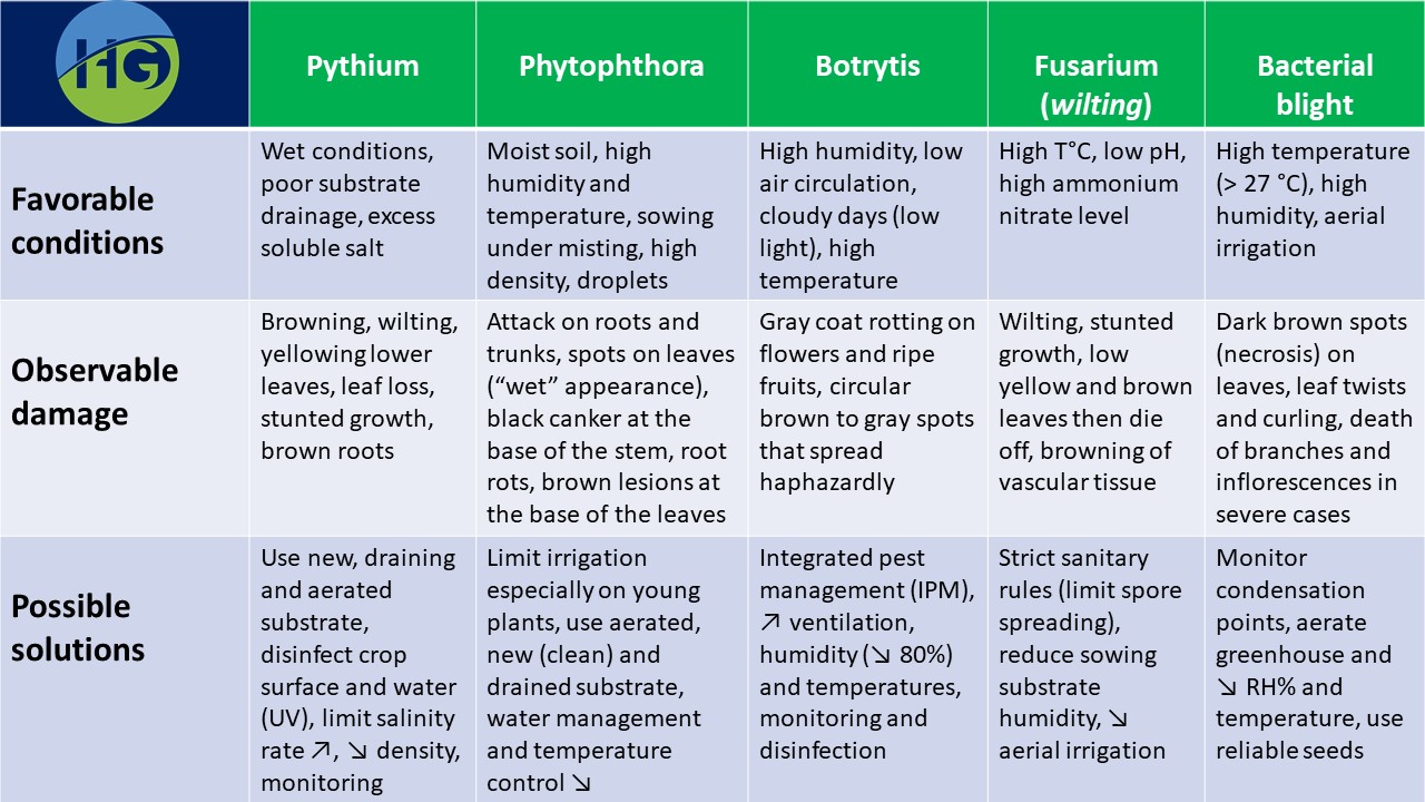 10 most common diseases found in the greenhouses - Horti Generation