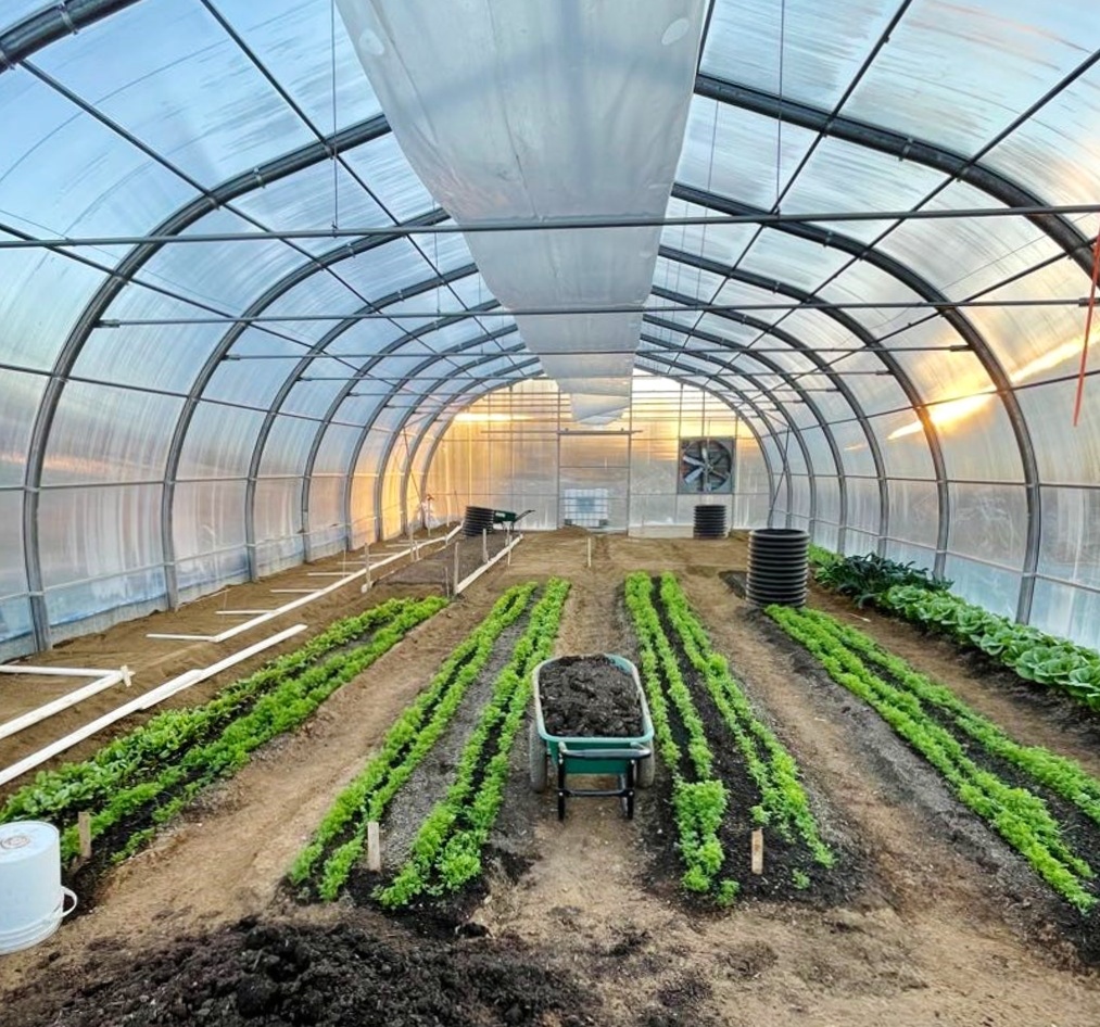 This image has an empty alt attribute; its file name is community-greenhouse-project-brings-fresh-affordable-food2.jpg