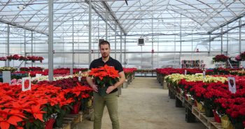 Corenthin Chassouant provides garden center greenhouses solutions to the American growers