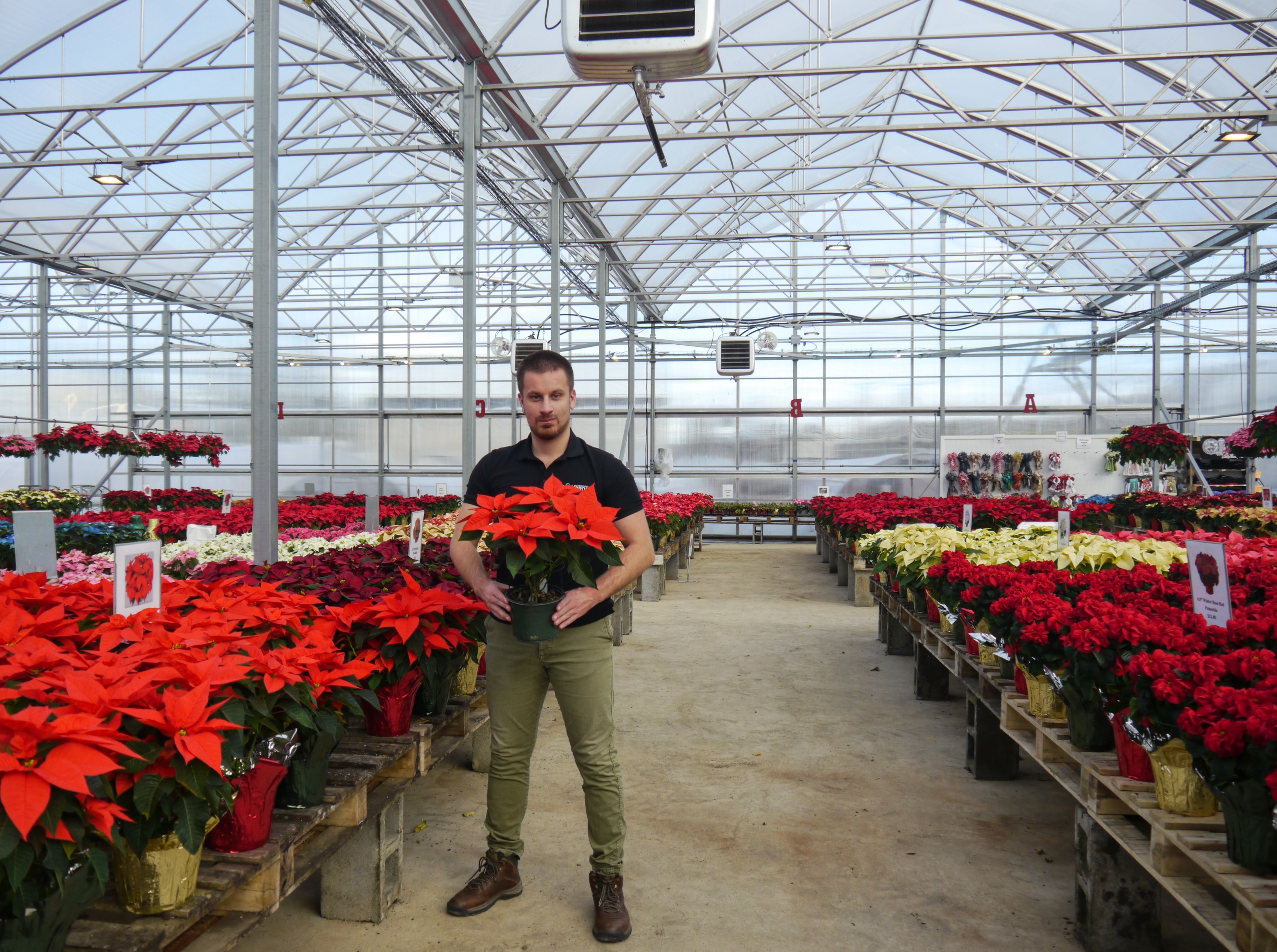 Corenthin Chassouant provides garden center greenhouses solutions to the American growers