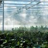 greenhouse growers should pay attention to vapor-pressure deficit and not relative humidity