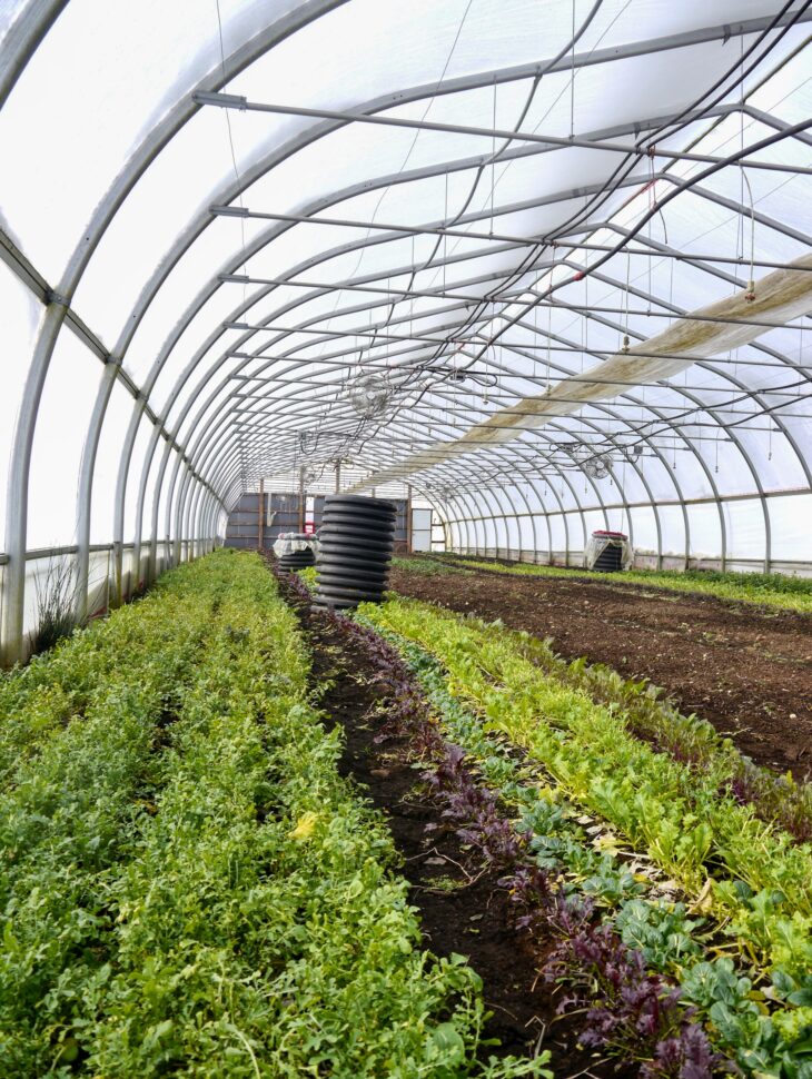 Climatebattery energy savings low tech greenhouse system Horti