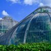 How to reuse the carbon dioxide to grow in the greenhouse industry