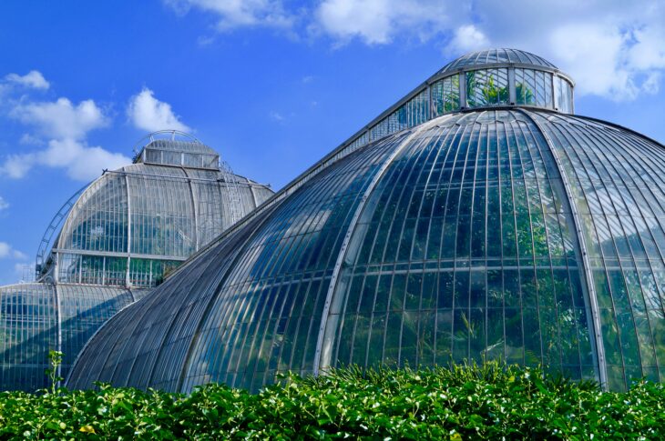How to reuse the carbon dioxide to grow in the greenhouse industry