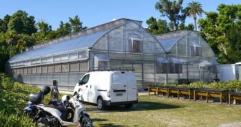 Hydroponic greenhouse in Bermuda