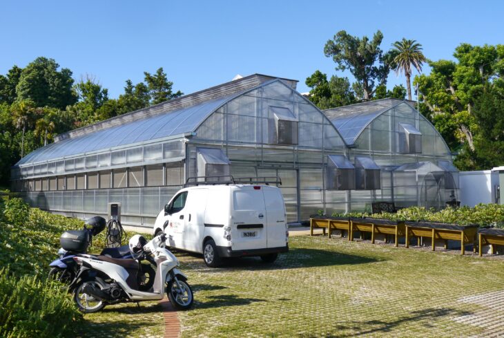 Hydroponic greenhouse in Bermuda