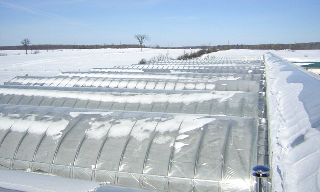 Ovaltech free-standing and Luminosa header house greenhouses large operation in Quebec, Canada surving the tough winter 