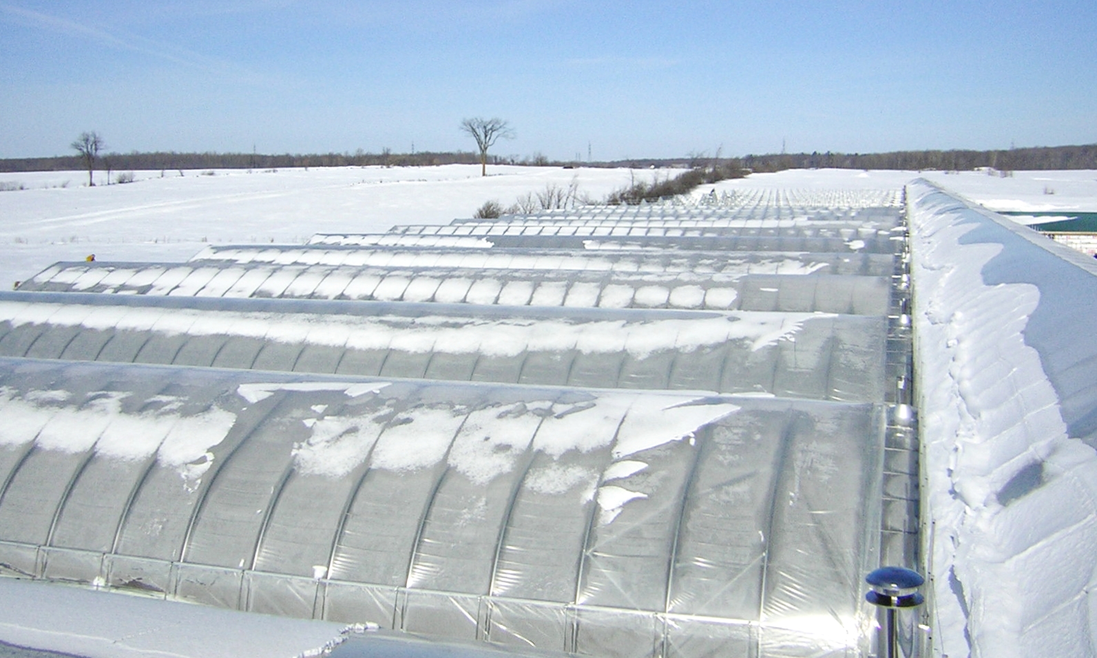 Can greenhouse structure survive winter ? Horti Generation