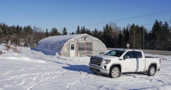 can greenhouse resists a heavy snow load winter