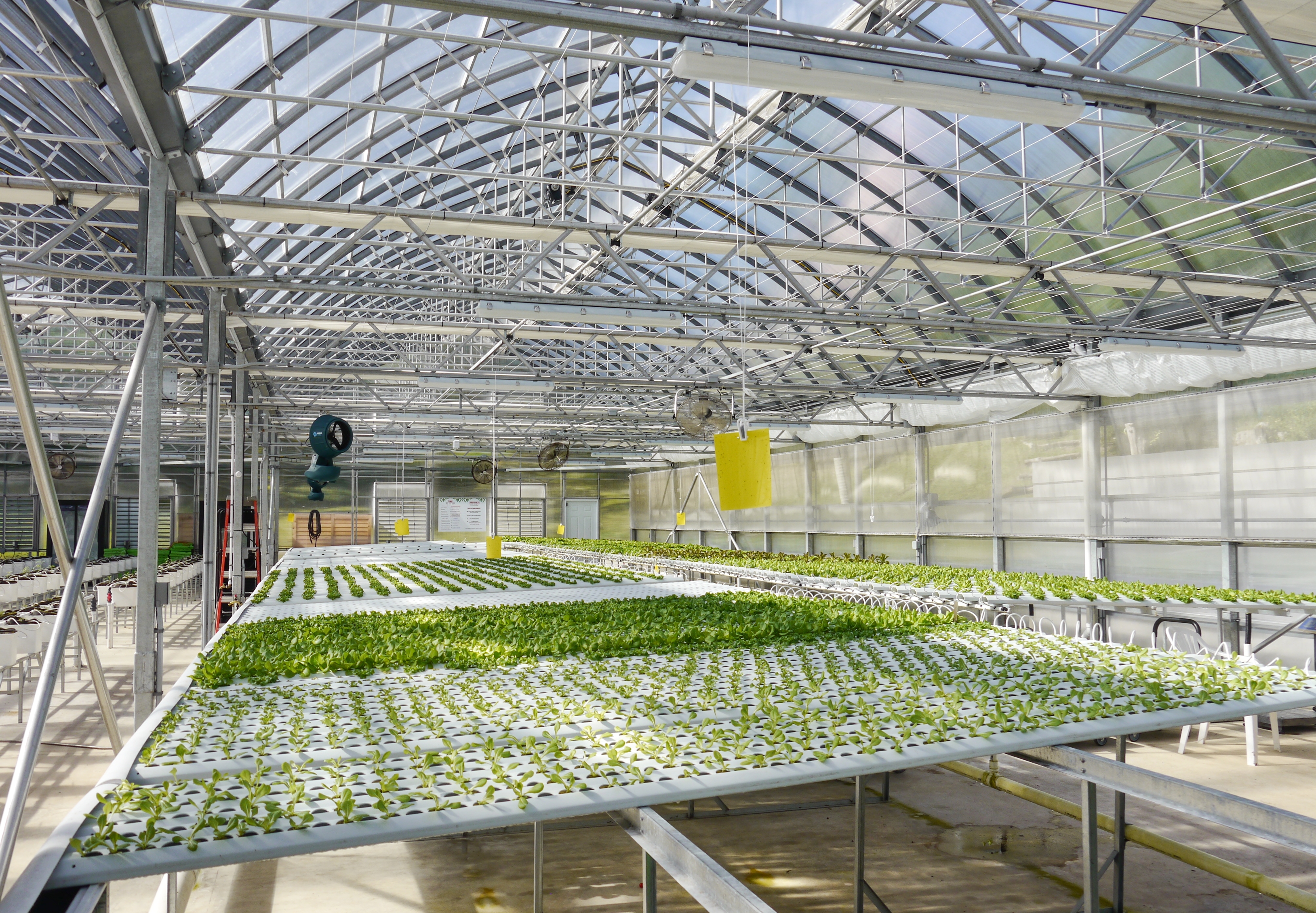 profitable hydroponic greenhouse kit