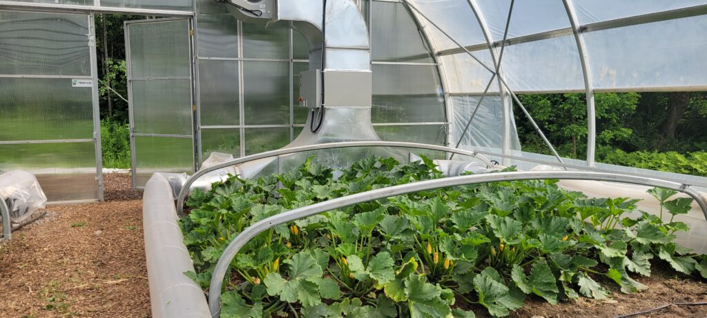 Bi-energy heating system for high tunnel greenhouse in North-America