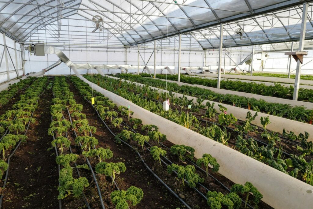 Innovative energy saving heating system for gutter connected greenhouse by Harnois