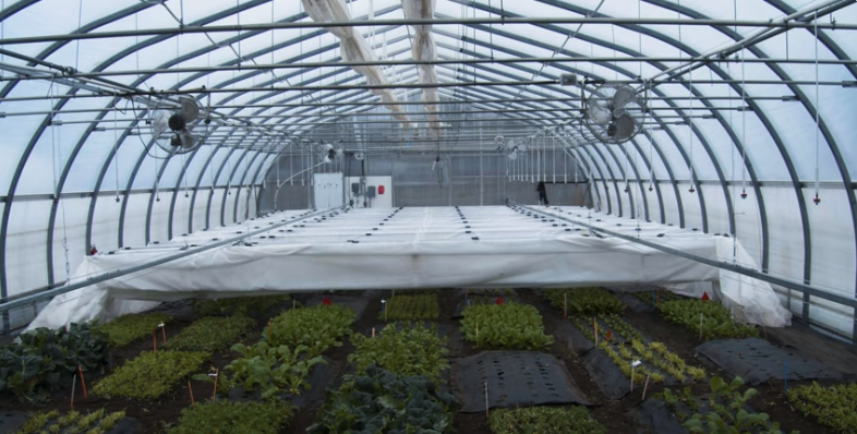 Energy efficient Ovaltech high tunnel greenhouse by Harnois 