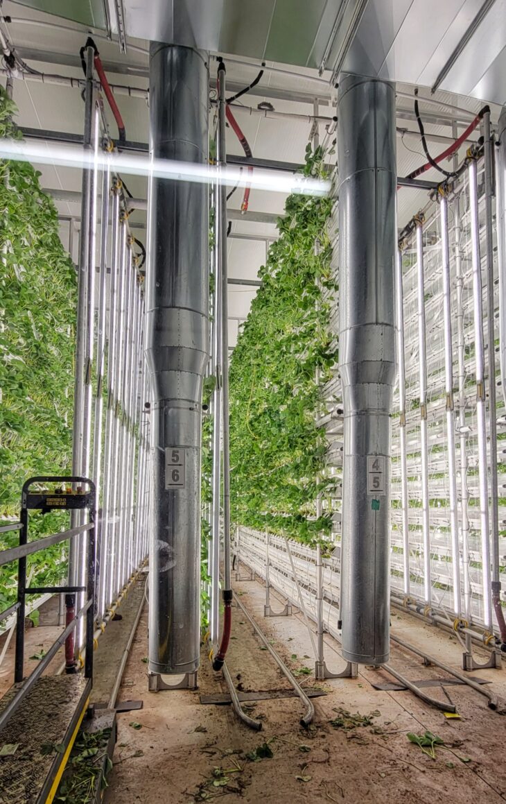 Hybrid vertical farming using harnois hight tech poly greenhouse
