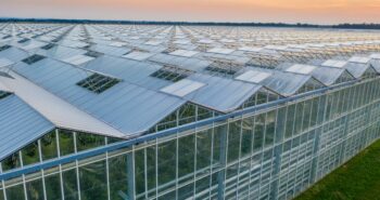 Polyethylene Covered Greenhouse vs. Glass House: A Comprehensive Comparison