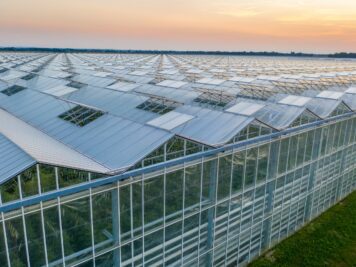 Polyethylene Covered Greenhouse vs. Glass House: A Comprehensive Comparison