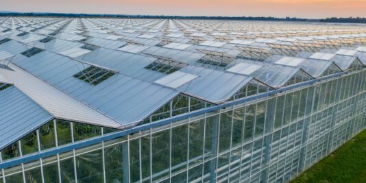 Polyethylene Covered Greenhouse vs. Glass House