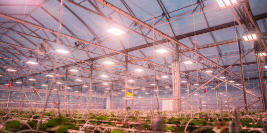 The buffer effect to control the greenhouse temperature and humidity