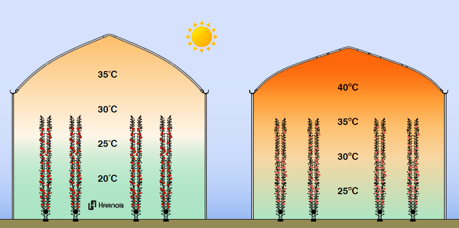 the buffer effect in a multispan greenhouse and the importance of volume in regulating internal temperature