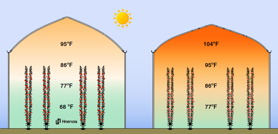 the buffer effect in a gutter connected greenhouse and the importance of volume in regulating internal temperature