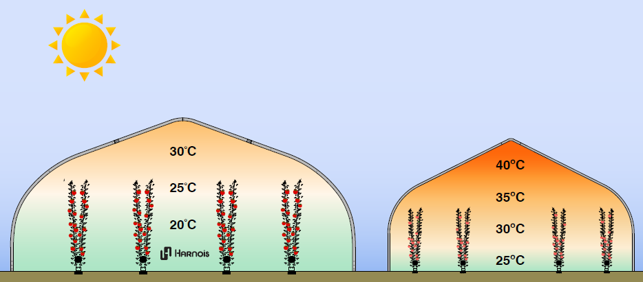 l'effet tampon dans une serre individuelle de type tunnel et l'importance du volume pour réguler la température interne