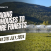 Revamping Reforestation Efforts Amid Canada's Wildfire Crisis