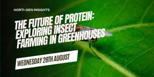 Insect Farming in Greenhouses