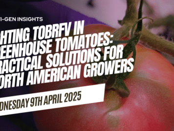 Fighting ToBRFV in Greenhouse Tomatoes