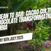 Chocolate transformation in Colombia