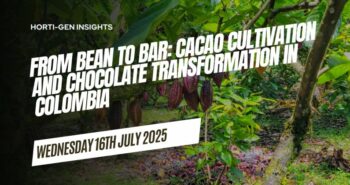 Chocolate transformation in Colombia