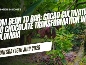 Chocolate transformation in Colombia