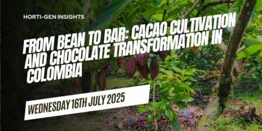 Chocolate transformation in Colombia
