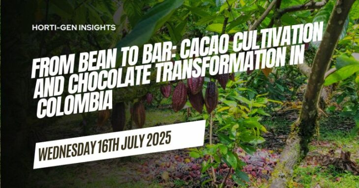 Chocolate transformation in Colombia
