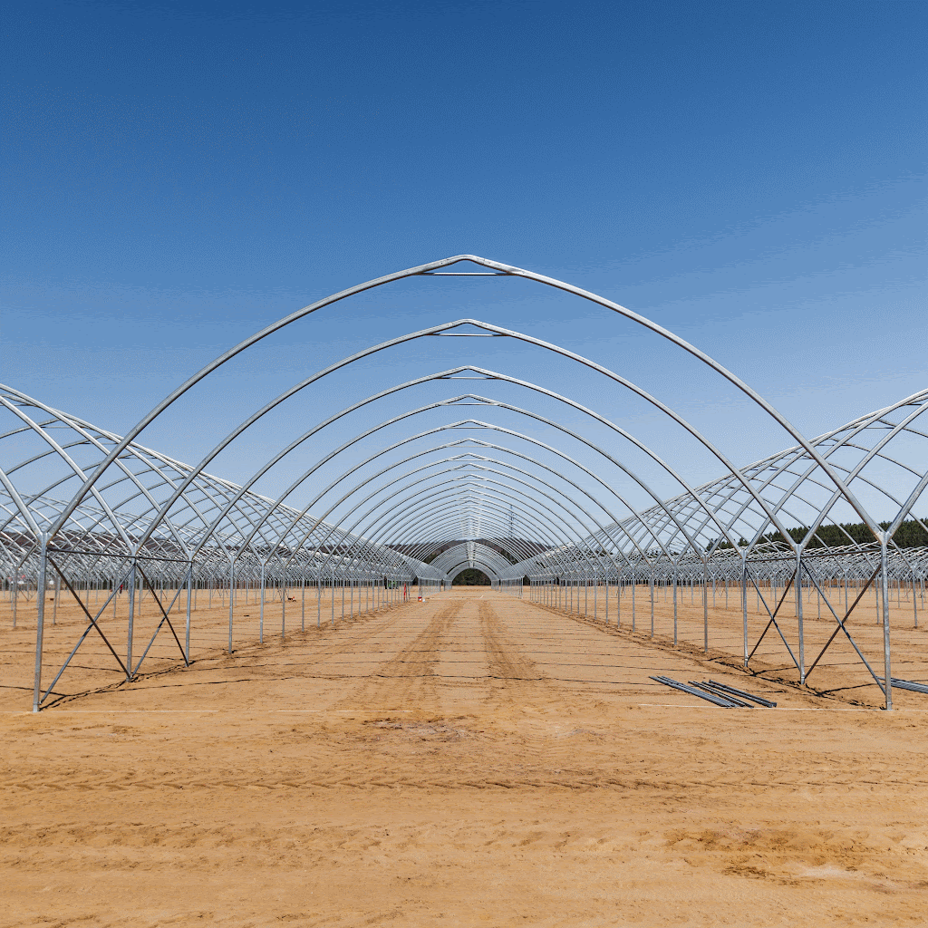 Grand tunnel agricole TunnelPro Plus à géométrie gothique - Harnois - Québec