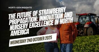 Modern strawberry propagation techniques in a North American nursery