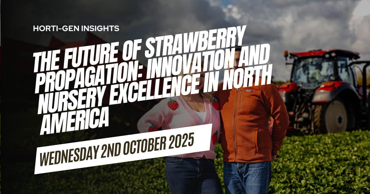 Modern strawberry propagation techniques in a North American nursery