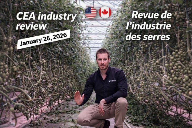 CEA industry review cover: greenhouse tomato production under LED lighting, featuring a market review for the U.S. and Canada / Couverture “CEA industry review” : culture de tomates en serre sous éclairage LED, revue de marché États-Unis et Canada.