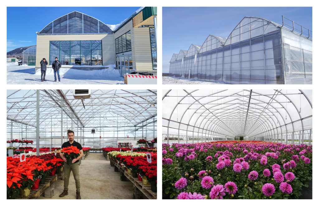 Harnois greenhouses operating in winter conditions, supporting ornamental crop production in North America
