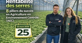 Deux professionnels en serre hydroponique de basilic illustrant la rentabilité des serres et les 8 piliers du succès en agriculture en environnement contrôlé (AEC)