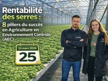 Deux professionnels en serre hydroponique de basilic illustrant la rentabilité des serres et les 8 piliers du succès en agriculture en environnement contrôlé (AEC)